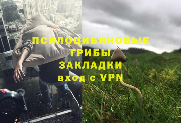 MDMA Premium VHQ Коряжма