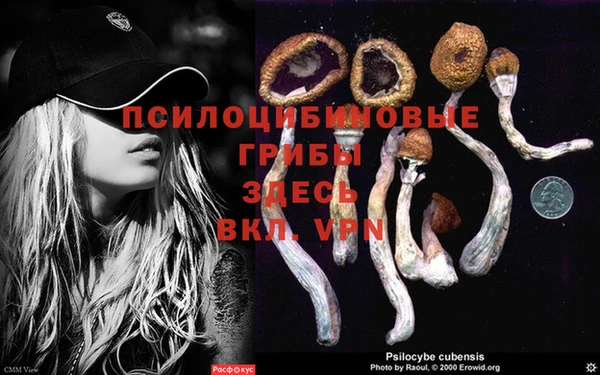 метадон Костерёво