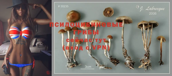мет Корсаков