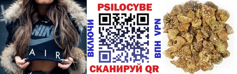 Купить где  Сольцы  Псилоцибиновые грибы Psilocybe 